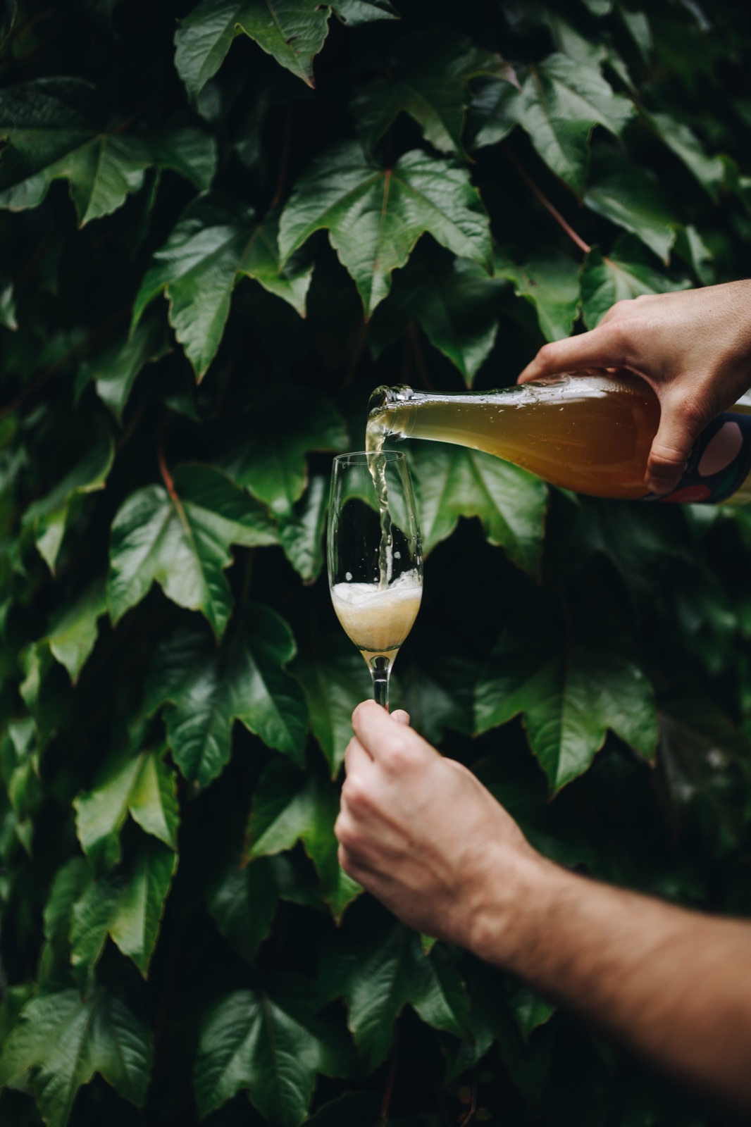 A hand pours Monceau from the bottle into a small glass against a wall of ivy